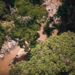 Borneo Rainforest Malaysia Hutan Tropis yang Kaya akan Flora dan Fauna