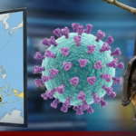 Virus Nipah
