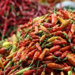 Harga Cabai Rawit