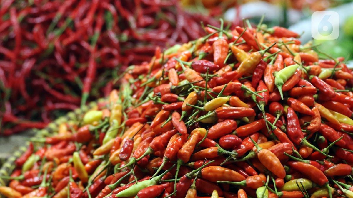 Harga Cabai Rawit