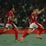 Mirza Mustafic Bali United
