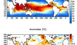 Godzilla El Nino Godzilla El Nino