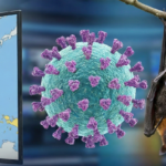Nipah